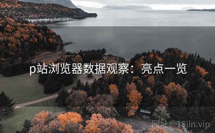 p站浏览器数据观察：亮点一览