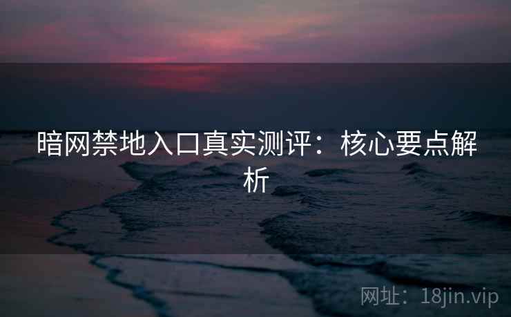 暗网禁地入口真实测评：核心要点解析