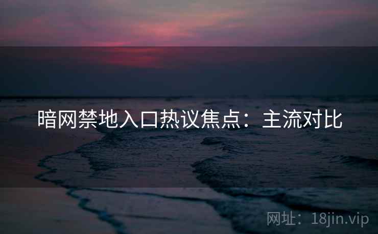 暗网禁地入口热议焦点：主流对比